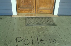 Pollen on my front porch
