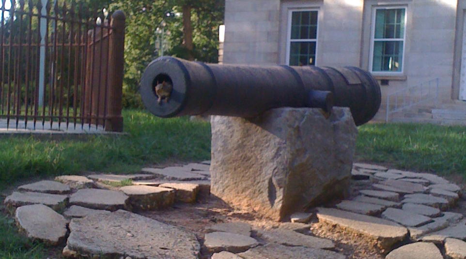 squirrel in the cannon
