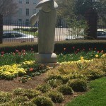 NC Governor's Gardens