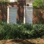 NC Governor's Gardens