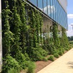 Hunt Library N.C. State