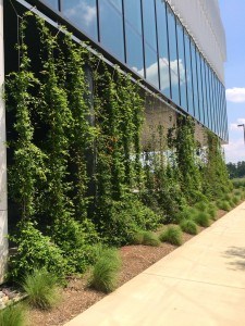 Hunt Library N.C. State