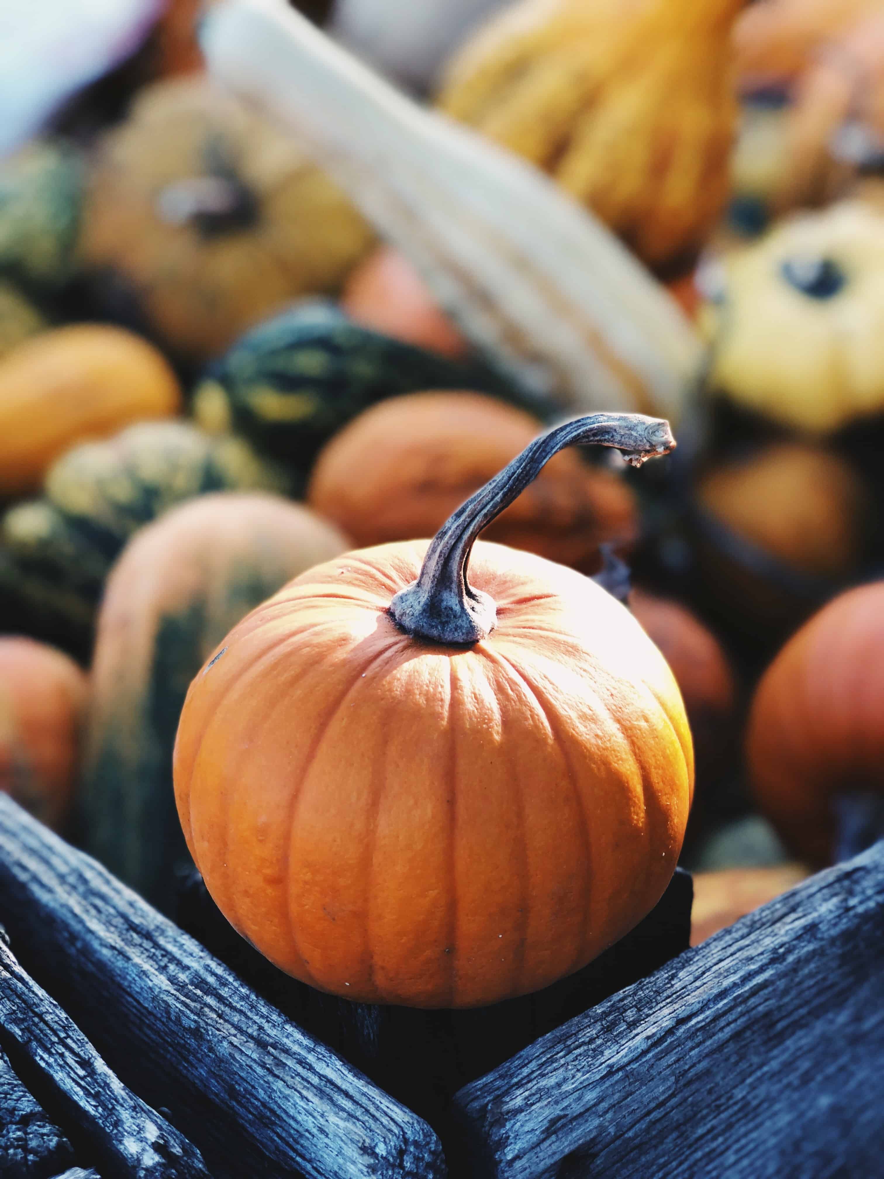 October 2018: Free Things To Do In Downtown Raleigh, a List Curated by Raleigh Homes Realty