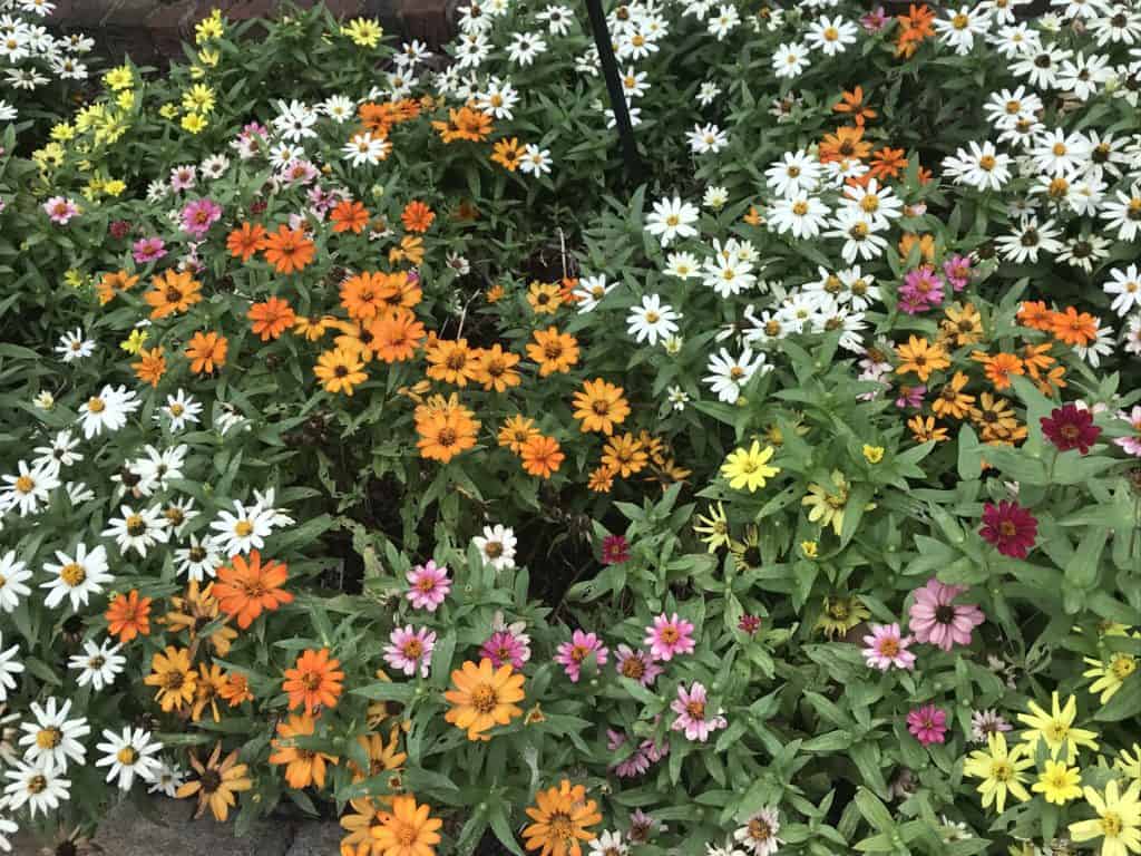 A list of free, family-friendly events in Downtown Raleigh for August 2019 curated by Raleigh Homes Realty